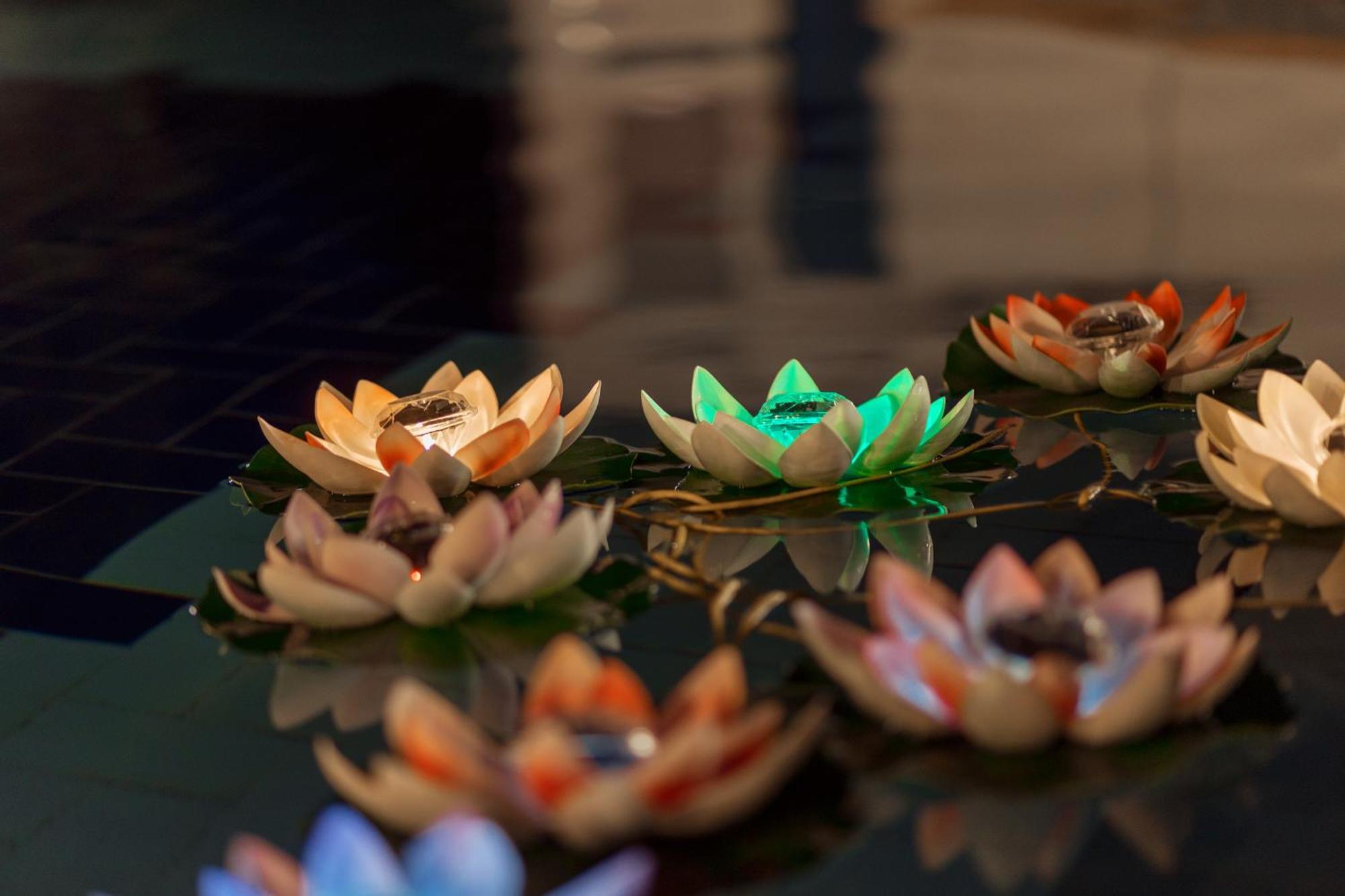 Villa Mia Apartments Bijela Dış mekan fotoğraf